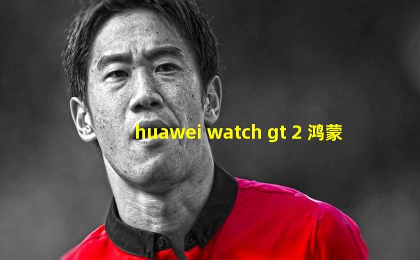 huawei watch gt 2 鸿蒙